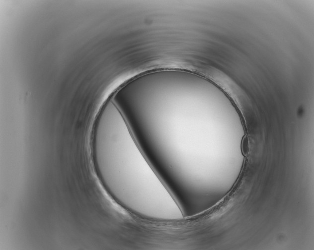X0000095131141200712071001