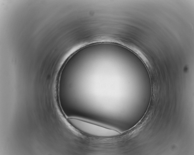 X0000095131142200712071001