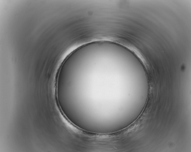 X0000095131143200712071001