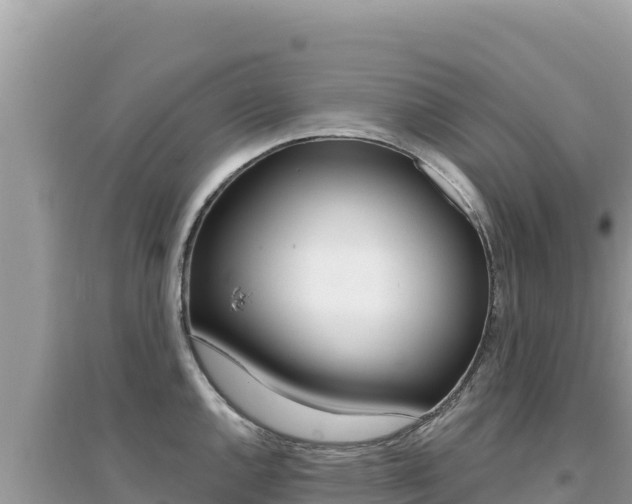 X0000095131144200712071001