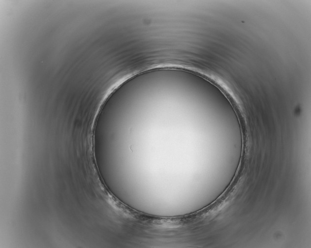X0000095131145200712071001