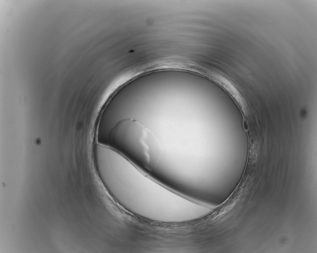 X0000095131146200712071001