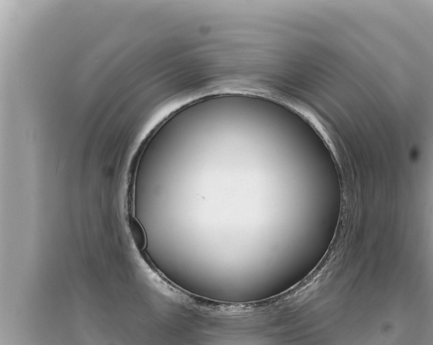 X0000095131147200712071001