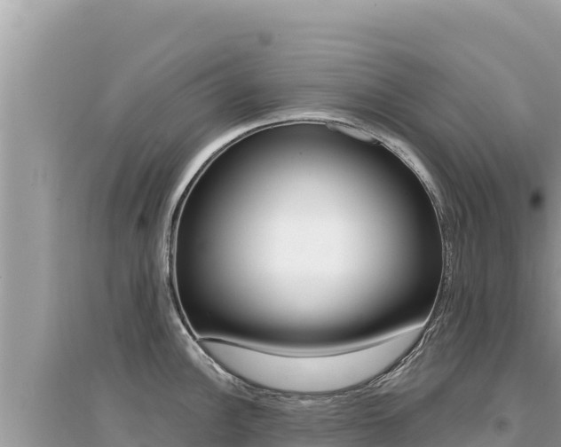 X0000095131148200712071001