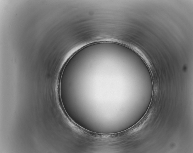 X0000095131149200712071002