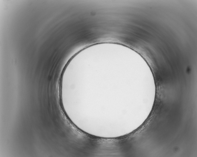 X0000095131150200712071002