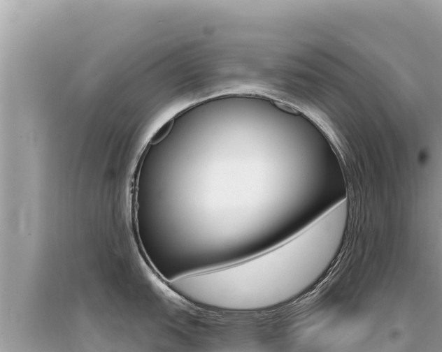 X0000095131151200712071002