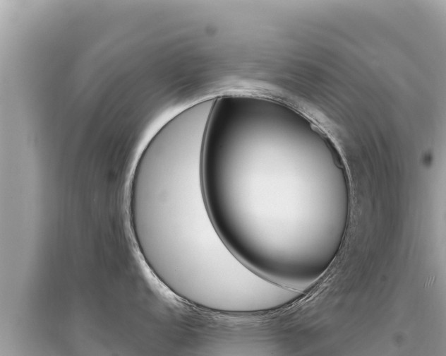 X0000095131152200712071002