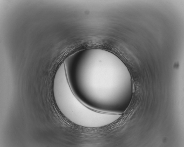 X0000095131153200712071001