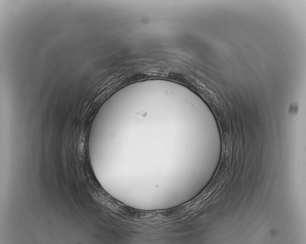 X0000095131154200712071001