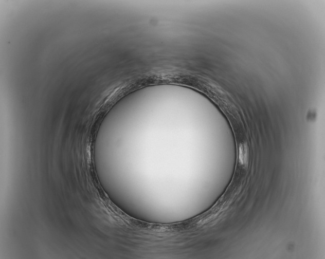 X0000095131155200712071001