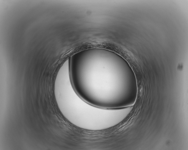 X0000095131156200712071001