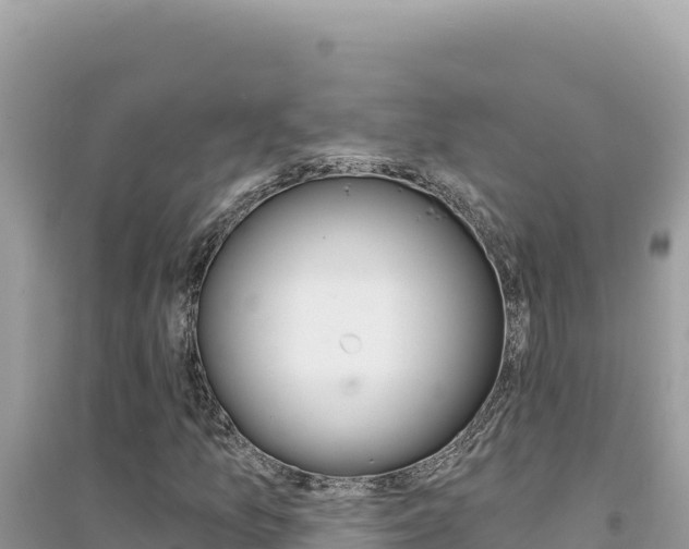 X0000095131157200712071001