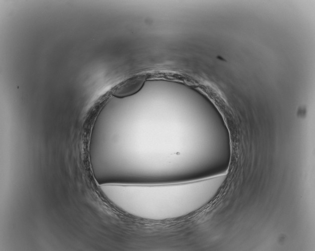 X0000095131159200712071001