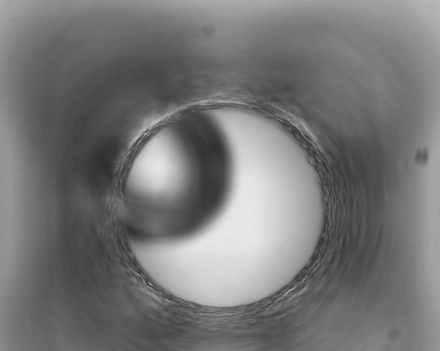 X0000095131160200712071001