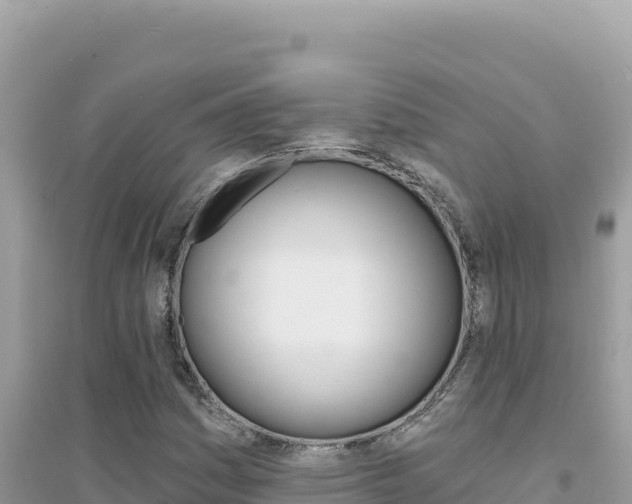 X0000095131161200712071001