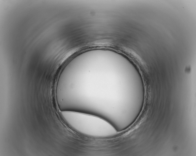 X0000095131162200712071001