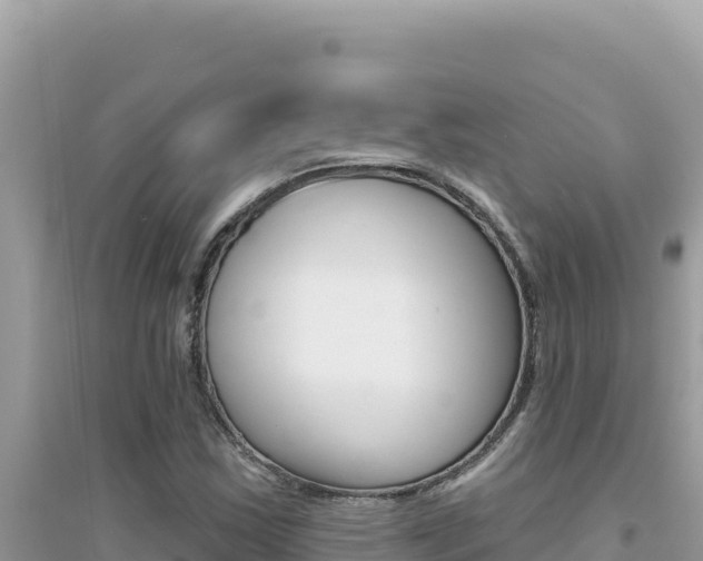 X0000095131163200712071001