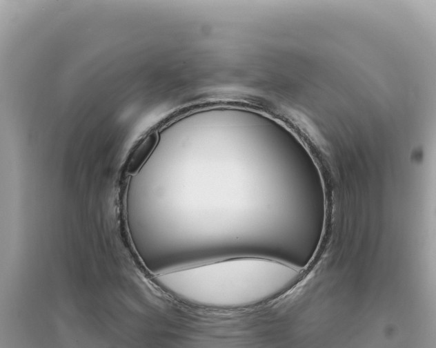 X0000095131164200712071001