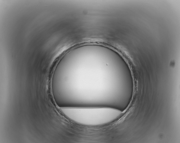 X0000095131165200712071001