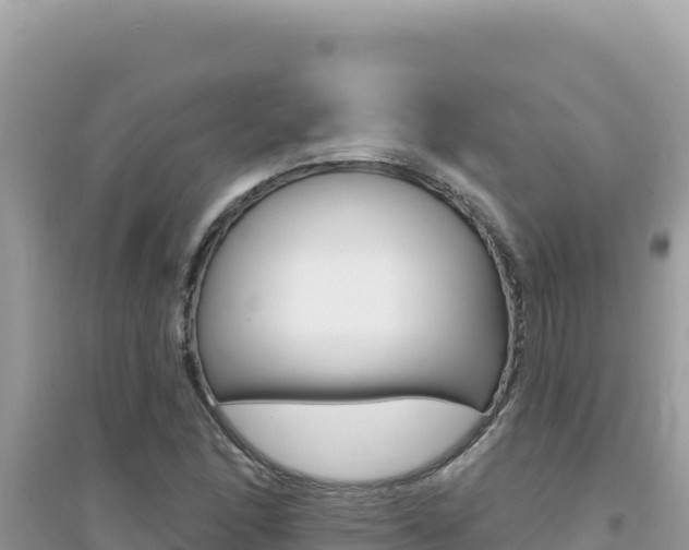 X0000095131166200712071001