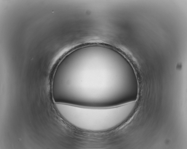 X0000095131167200712071001