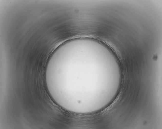 X0000095131169200712071000