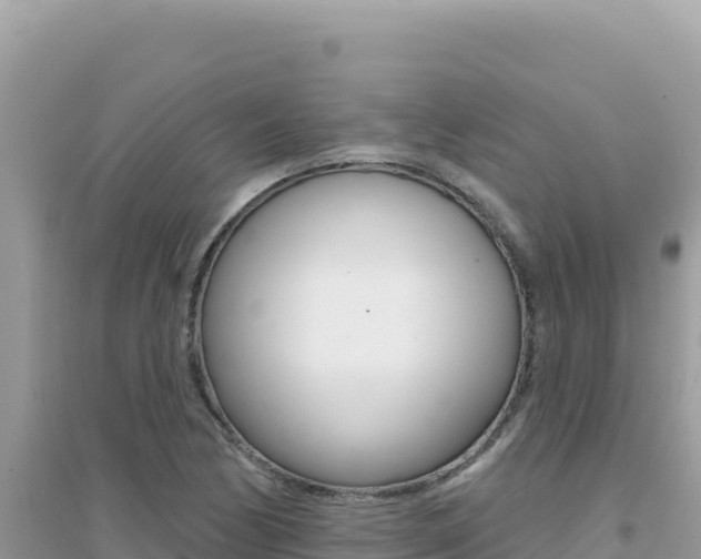 X0000095131170200712071000