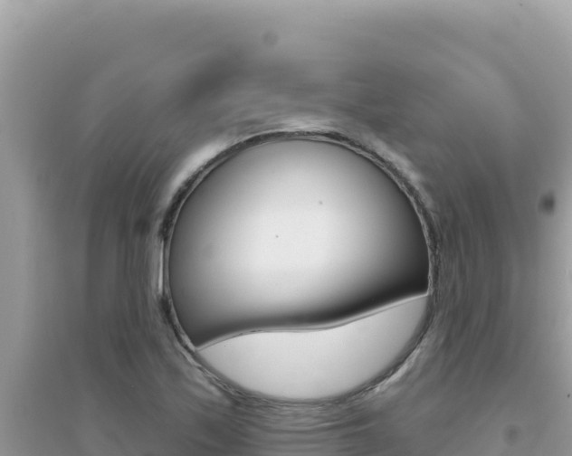 X0000095131171200712071000