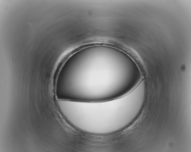 X0000095131172200712071000