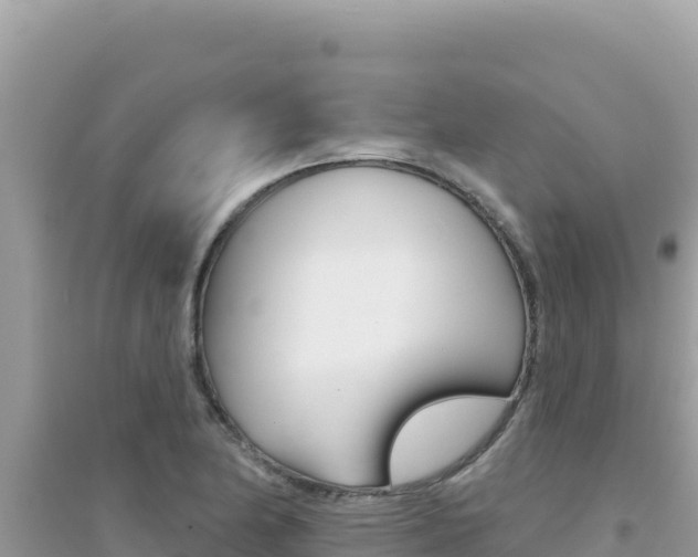 X0000095131174200712071000