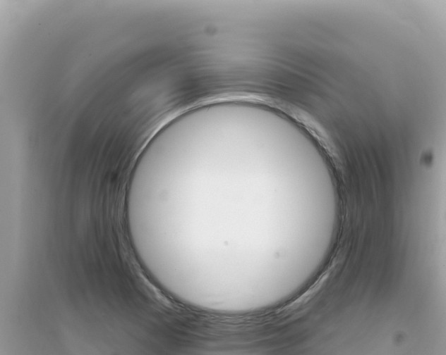 X0000095131177200712071000