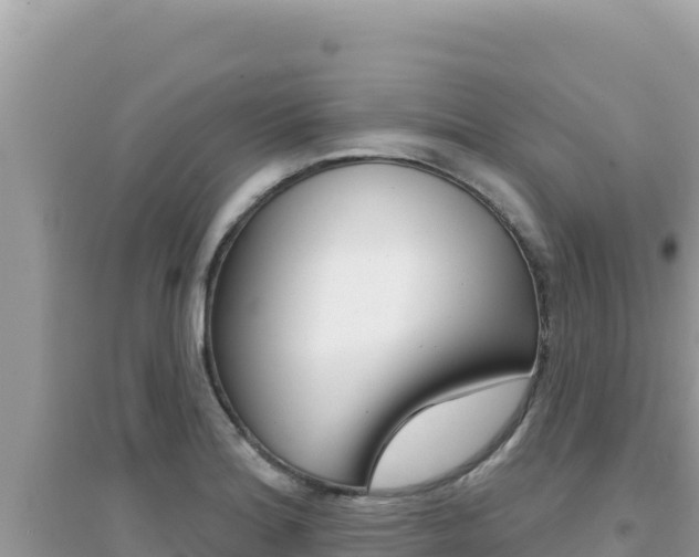 X0000095131180200712071000