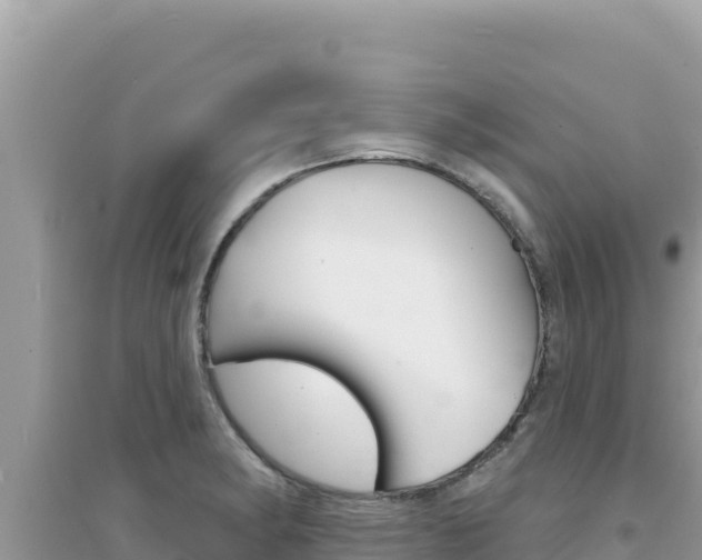 X0000095131182200712071000