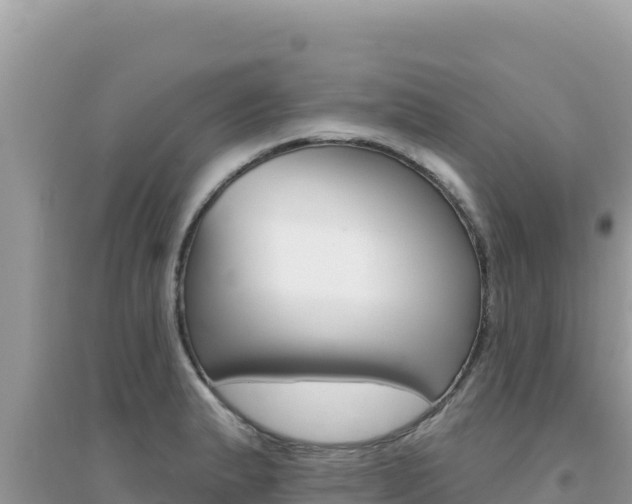 X0000095131183200712071000
