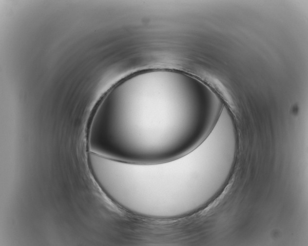 X0000095131184200712071000