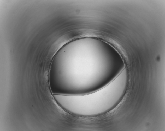 X0000095131185200712071000