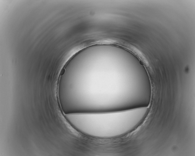 X0000095131186200712071000