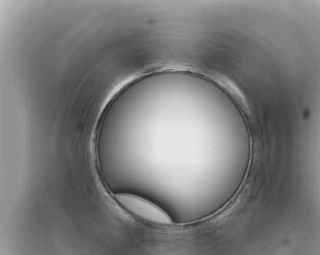 X0000095131190200712071000
