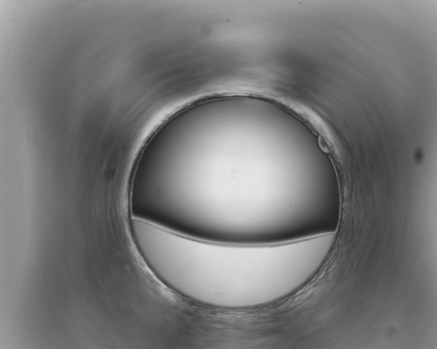 X0000095131191200712071000