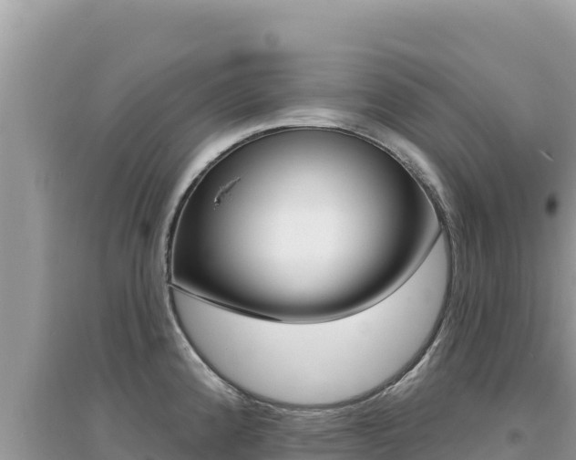 X0000095131192200712071000