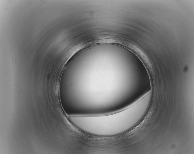 X0000095131193200712071000