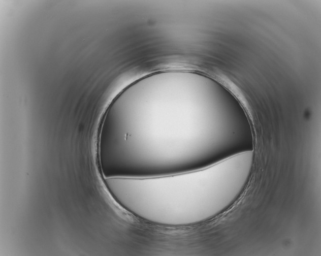 X0000095131195200712071000