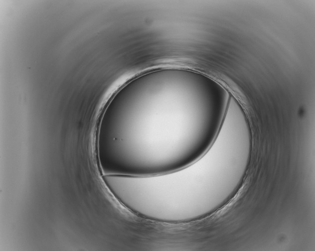 X0000095131196200712071000