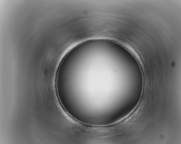X0000095131197200712071000