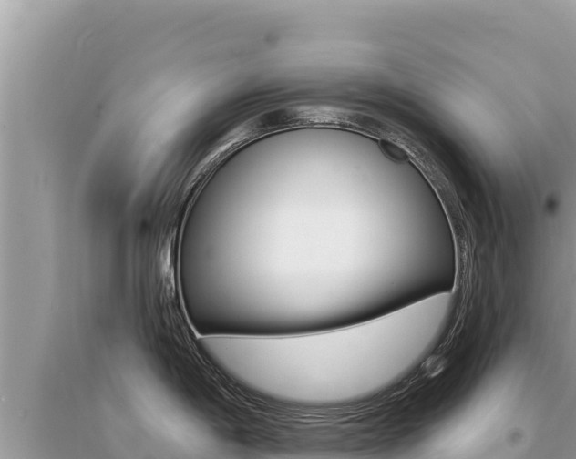 X0000095131198200712071000