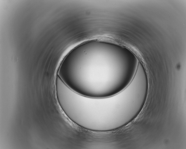 X0000095131200200712071000