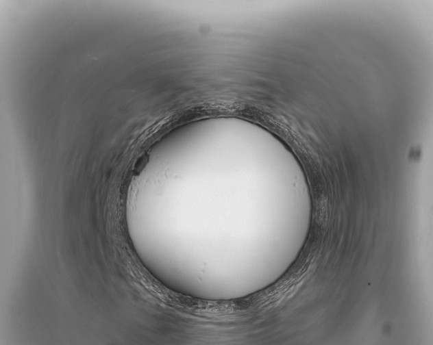 X0000095131201200712070959