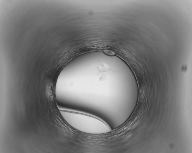 X0000095131202200712070959