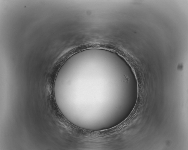 X0000095131206200712070959